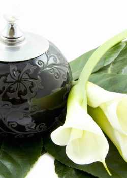  funeral websites