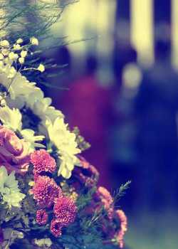  funeral websites