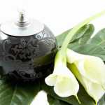  funeral websites
