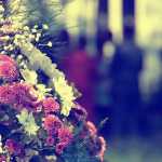  funeral websites
